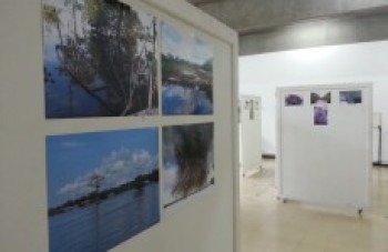 Suzano recebe "Fauna e Flora do Meu Brasil"