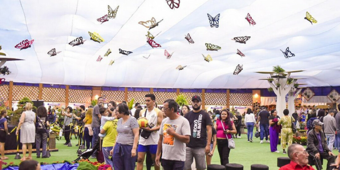 ExpoSuzano tem cerca de 300 mil visitas