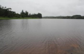 Após quase dois anos, Spat volta a operar acima dos 30%