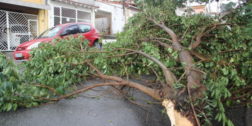 Ventos de 60 km/h interrompem o fornecimento de eletricidade