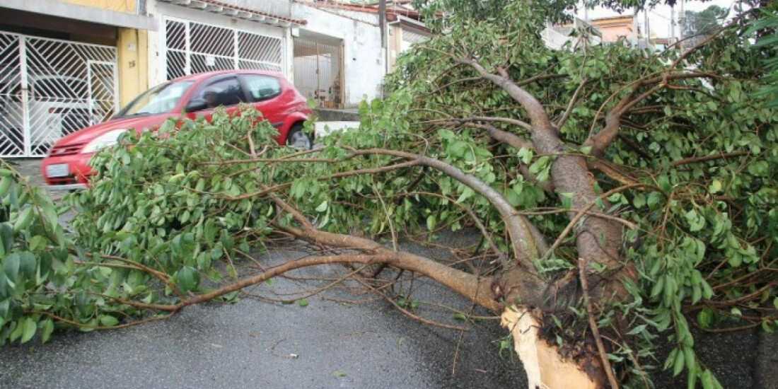 Ventos de 60 km/h interrompem o fornecimento de eletricidade