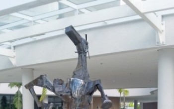 Mostra de Bittencourt vai até amanhã