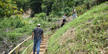 Museu da Energia promove passeio na Mata Atlântica