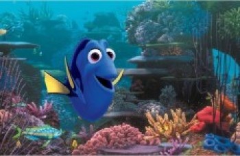 "Procurando Dory"