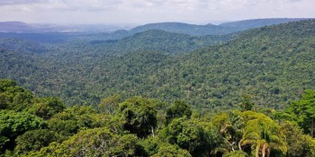 Agência Brasil explica: o que é o Fundo Amazônia?