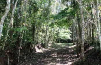 Trilha em parque será neste sábado