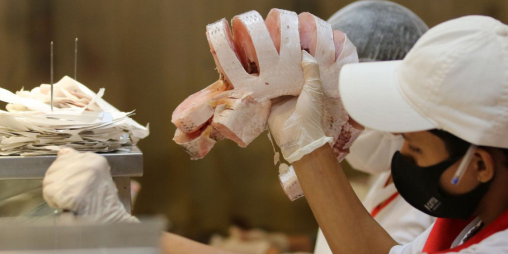 Além de tradição, pescado é opção econômica para a Semana Santa