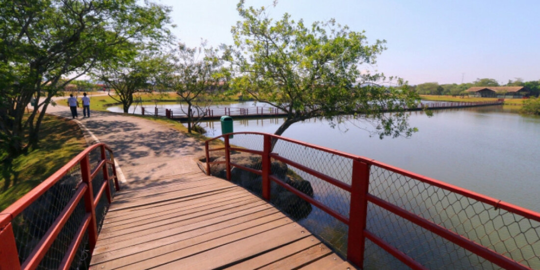 Caminhada encerra programação do Abril Azul