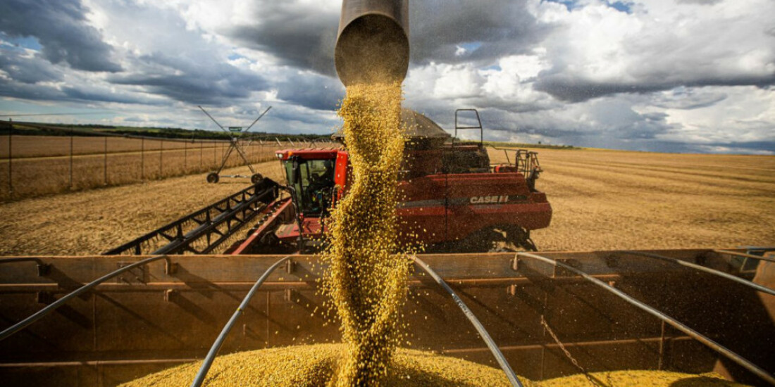 Produção agrícola deve chegar a 269,3 milhões de toneladas, diz Conab