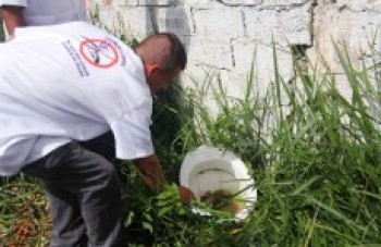 Ferraz reduz casos de dengue em um ano