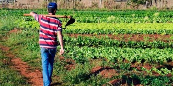 Alto Tietê tem saldo positivo de 1,9 mil empregos em março