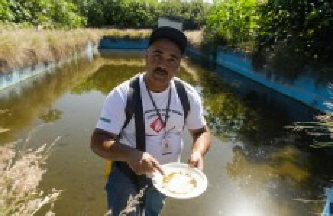 Jardim Medida terá combate à dengue