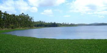 Reservatórios têm alta no primeiro dia do outono
