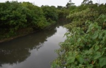 Estado e municípios mantêm monitoramento do rio Tietê
