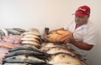 Bacalhau perde 'posto' de favorito na Semana Santa