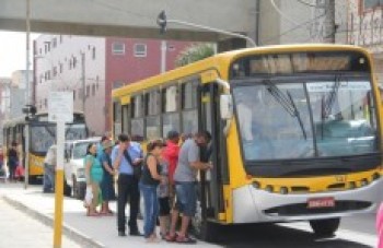 Lei permite o transporte de animais em ônibus de Ferraz