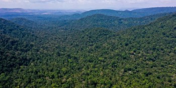 Rio terá bolsa de valores para compra e créditos de carbono