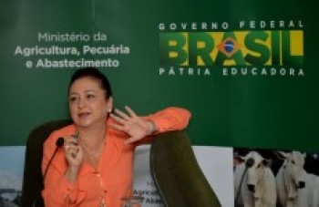 Kátia Abreu permanece no governo e no PMDB