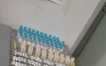 PM apreende drogas no Parque Olímpico