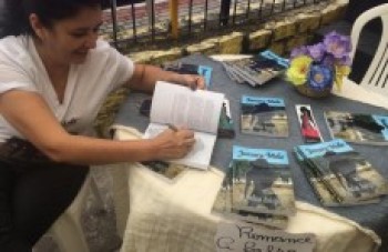 Série de reuniões definem preparativos para FLIPoá