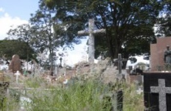 Visitantes reclamam do mato alto no Cemitério São Salvador