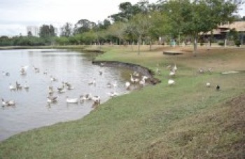 Alto Tietê convida público para um Carnaval seguro