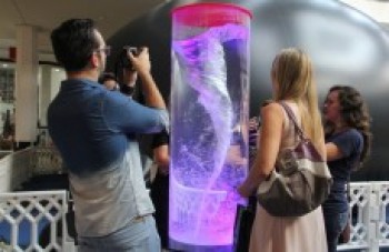 Mogi Shopping inaugura atração interativa: