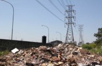 EDP será multada se não limpar áreas