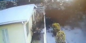 Pássaros caem do céu misteriosamente