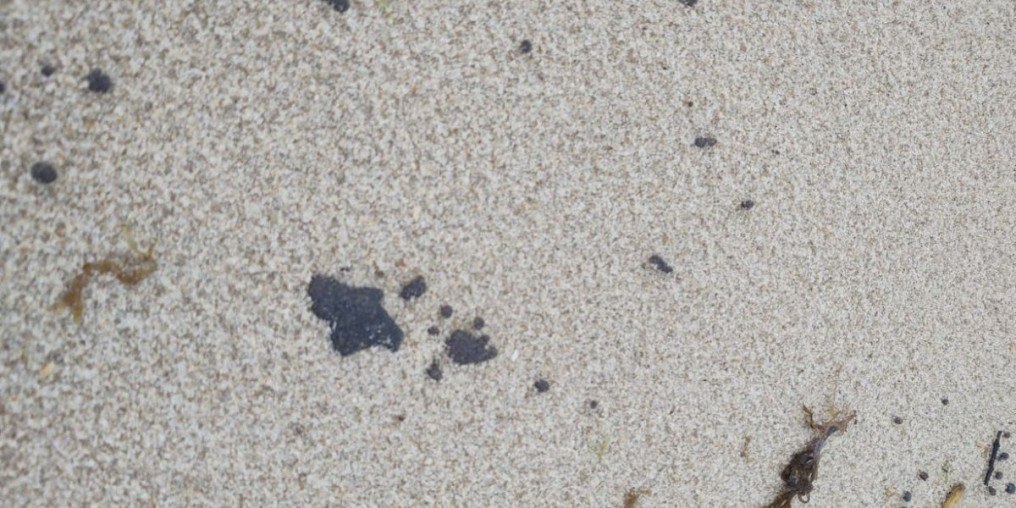 Litoral cearense tem 64 praias com manchas de óleo