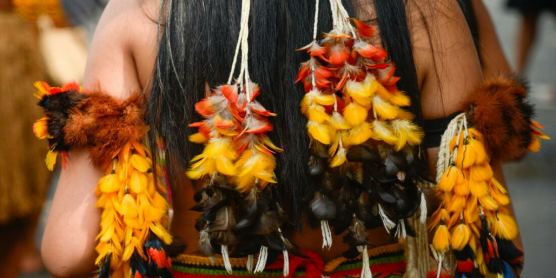 Brasil deve ter orgulho de seus povos indígenas, diz secretária