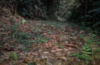 Museu da Energia fará ação especial