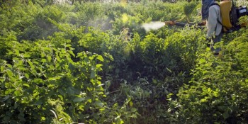 Câmara aprova mudança em prazo para registro de agrotóxicos
