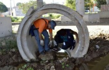 Prefeitura reduz em 85% o número de casos de dengue