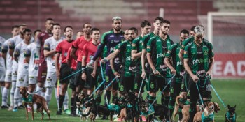 Jogadores entram com cães para adoção em partida do Campeonato Mineiro