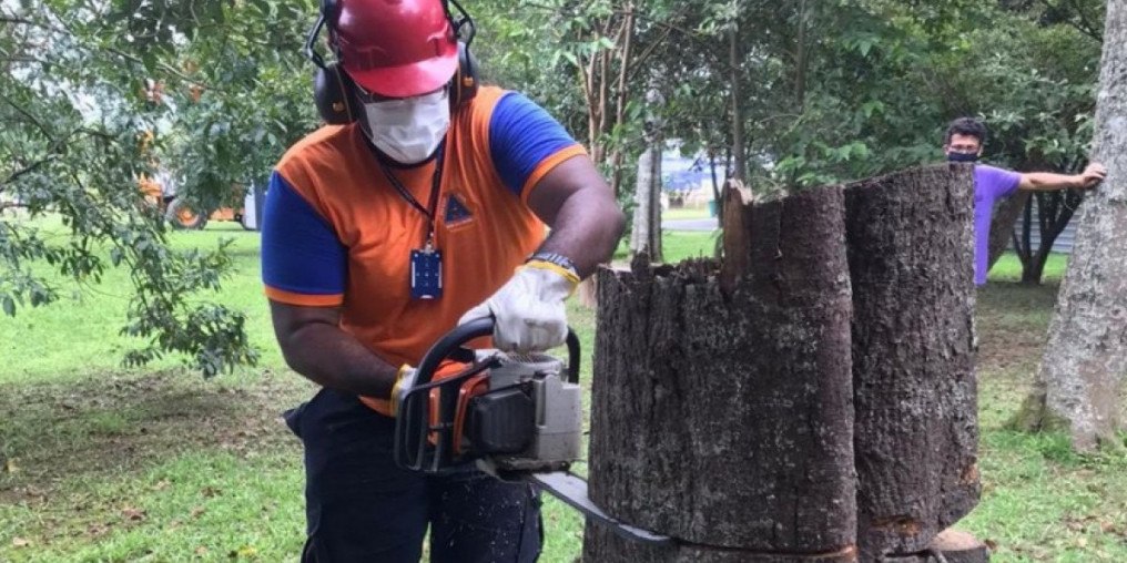 Servidores recebem curso sobre quedas de árvores