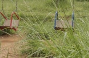 Vereadores questionam falta de manutenção em terrenos