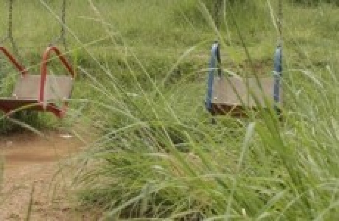 Vereadores questionam falta de manutenção em terrenos