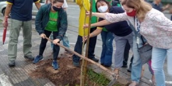 Centro Cívico recebe o plantio de dez mudas