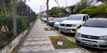 Plantio no Centro Cívico