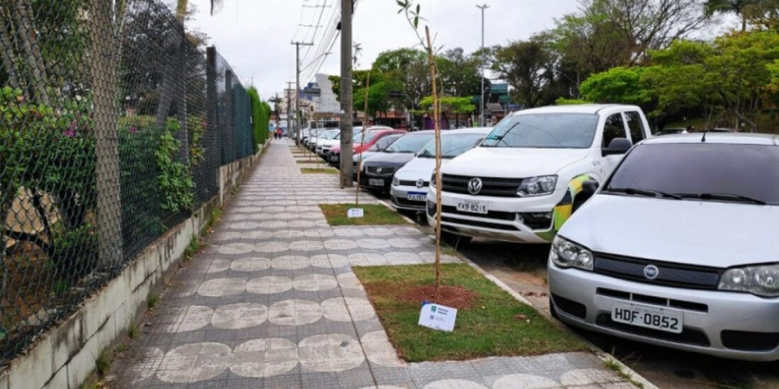 Plantio no Centro Cívico
