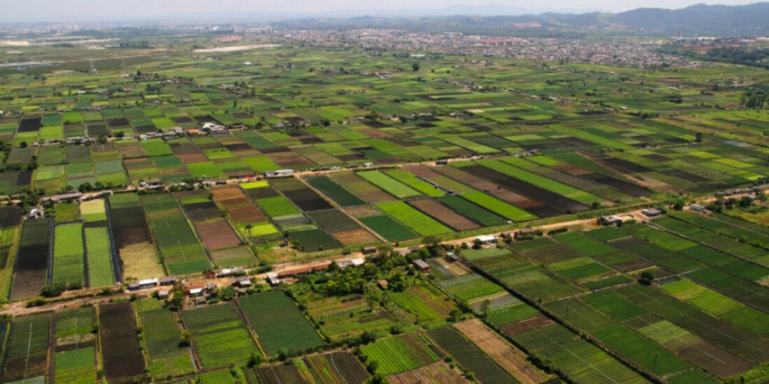 Mogi salta para 33ª posição em programa agrícola do Estado
