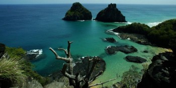 Praia em Fernando de Noronha segue fechada após ataque de tubarão