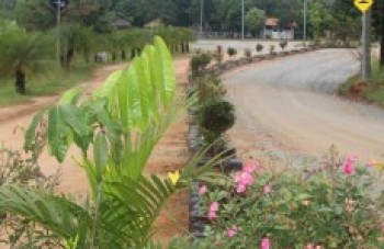 Parque Ecológico ganha floreira, pista e academia