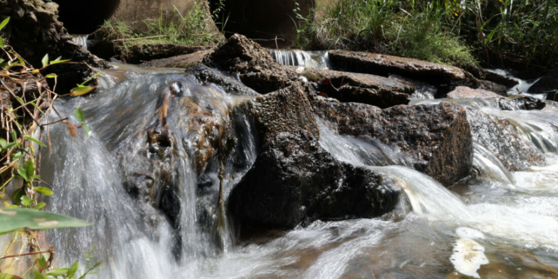 Estudo aponta melhora na qualidade da água do Balainho