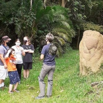 Ilha Marabá, Viveiro de Mudas e Pq. Municipal abrem inscrições