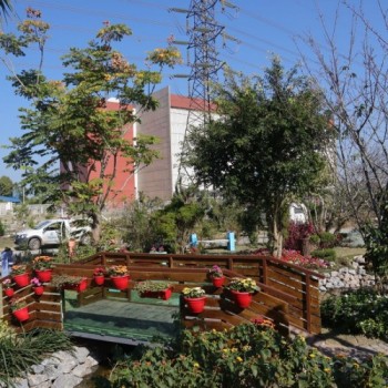 Viveiro Municipal promove o plantio pelo Disk Árvore
