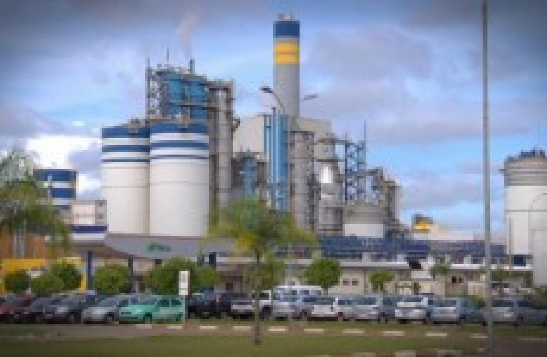 Suzano Papel e Celulose oferece vagas para jovens