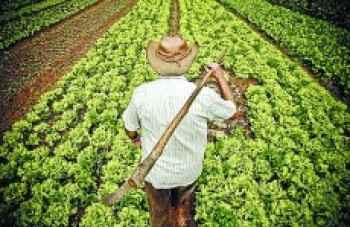 Dia do Agricultor