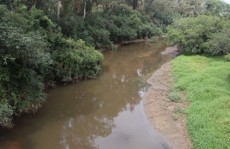 Rio Tietê já conta com licença prévia